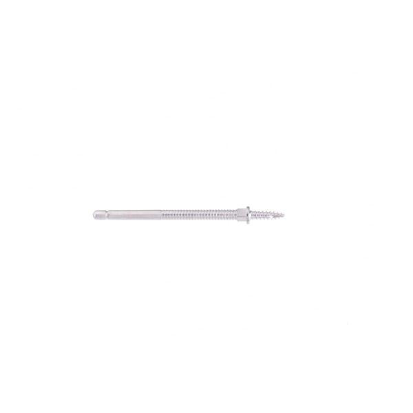 Screw Distraction Pin Stainless Steel 14mm 10/Bx